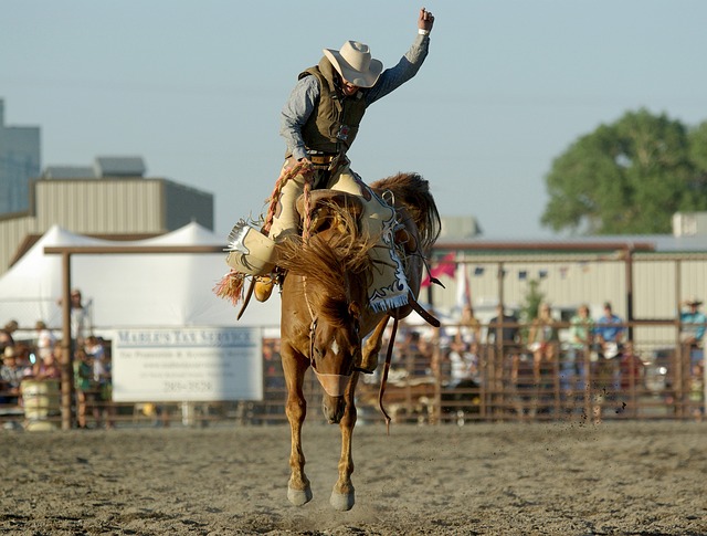 Events In Lewistown Montana Rodeo S Festivals Fairs Lewistown Mt